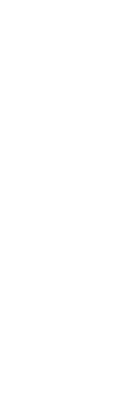 厳選された逸品 歴史が育んだ美の芸術