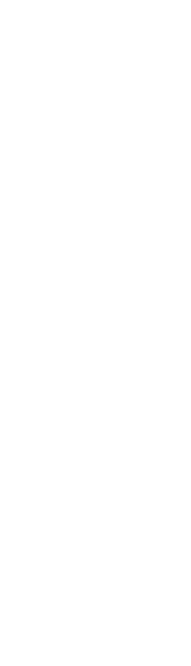 厳選された逸品 歴史が育んだ美の芸術